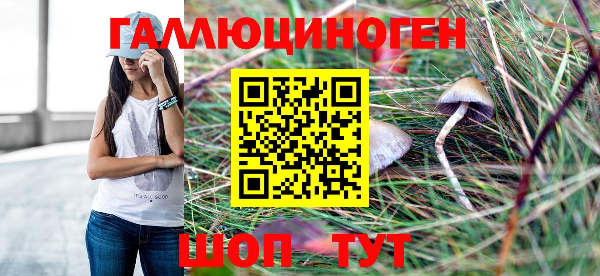 Галлюциногенные грибы прущие грибы  Вход с VPN  Слободской  Псилоцибиновые грибы прущие грибы 